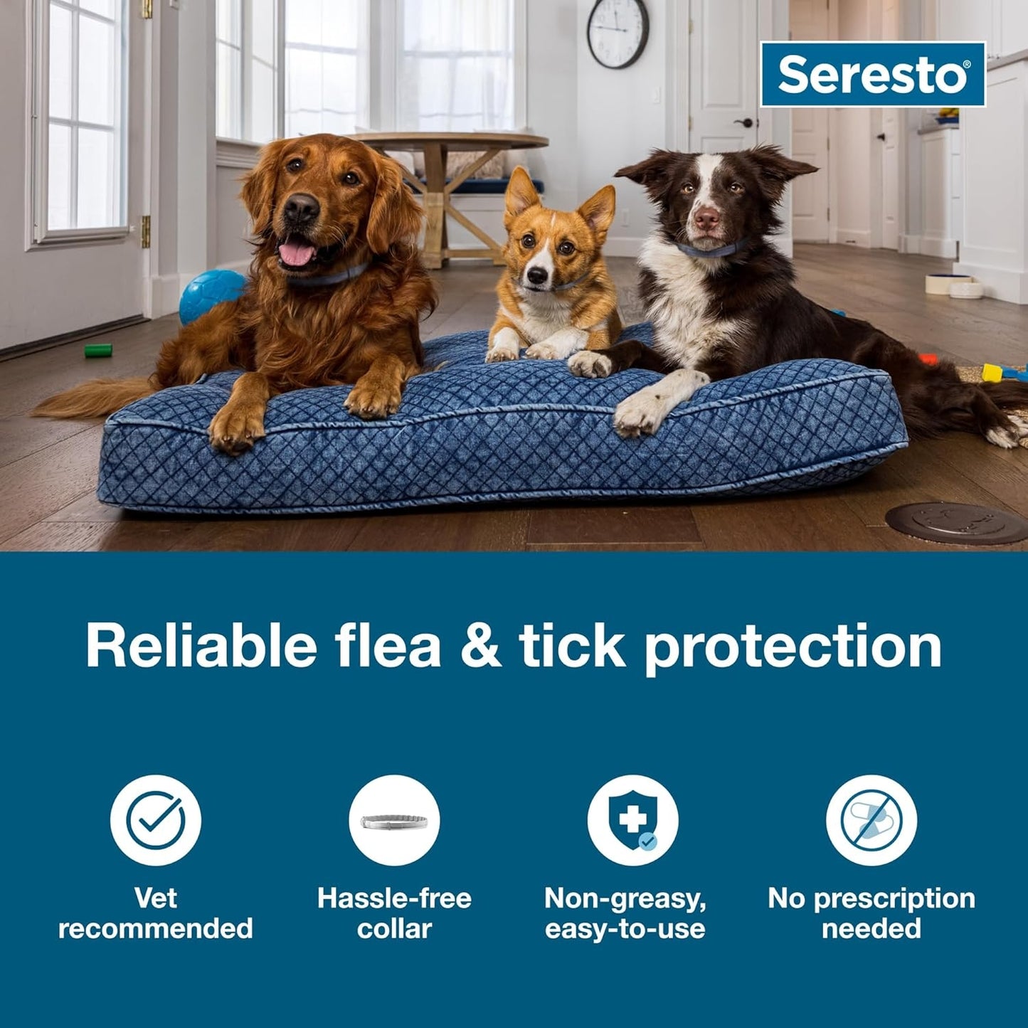 Seresto Small Dog Vet-Recommended Flea & Tick Treatment & Prevention Collar for Dogs Under 18 lbs. | 8 Months Protection