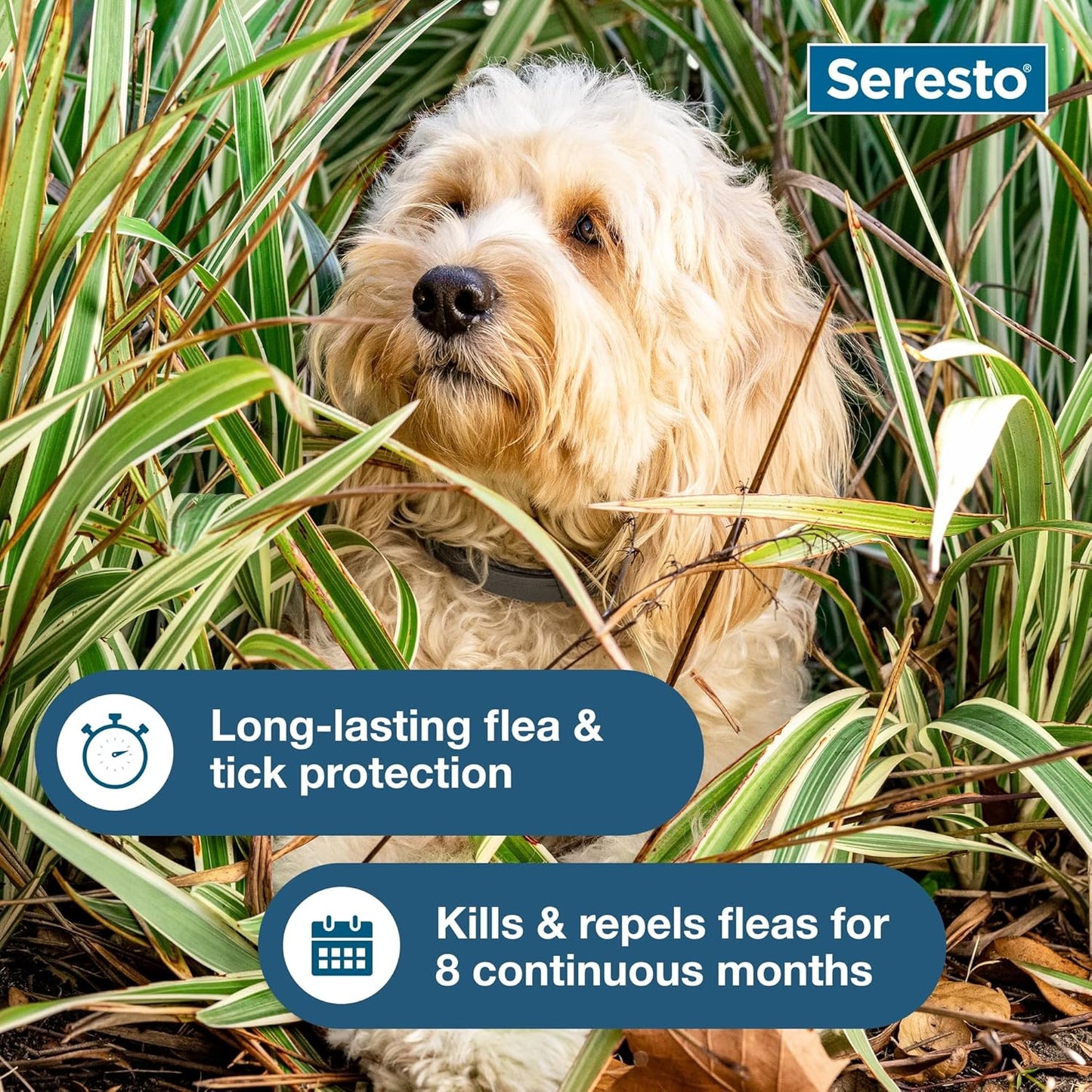 Seresto Small Dog Vet-Recommended Flea & Tick Treatment & Prevention Collar for Dogs Under 18 lbs. | 8 Months Protection