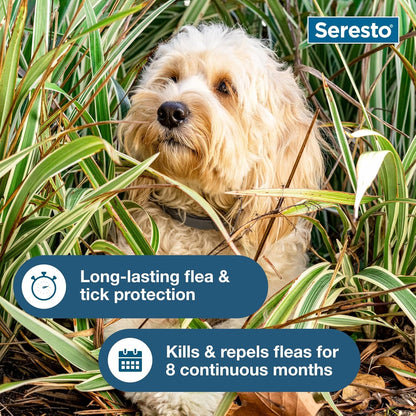 Seresto Small Dog Vet-Recommended Flea & Tick Treatment & Prevention Collar for Dogs Under 18 lbs. | 8 Months Protection